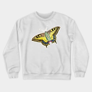 Vintage Swallowtail Butterfly Illustration Crewneck Sweatshirt